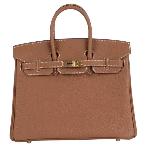 Hermès Birkin 25 in Gold Togo Leather with Gold Hardware - Image 2