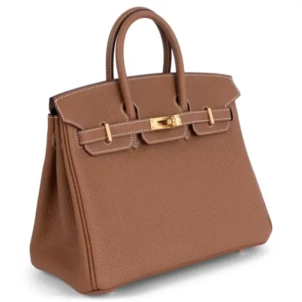 Hermès Birkin 25 in Gold Togo Leather with Gold Hardware - Image 3